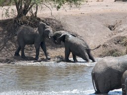 Western_Corridor2009-28